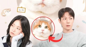 Cuộc Chiến Dành Quyền Nuôi Mèo