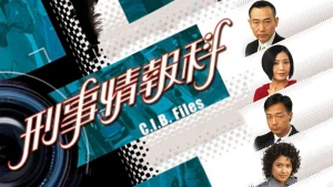 Đội Tình Báo CIB