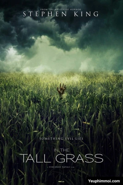 Giữa bụi cỏ cao (In the Tall Grass) [2019]