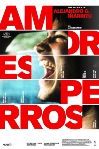 Kẻ Vô Đạo (Amores Perros) [2000]