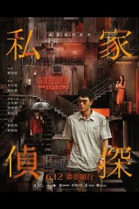 Thám Tử Tư: Phía Sau Vết Máu (Behind the Shadows) [2025]